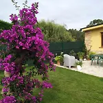 O Pedregal