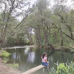Casita Junto Al Rio En Un Entorno Natural