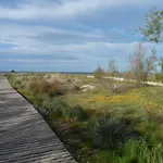 Jardines de Denia iii