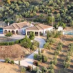 El Tempranillo 2