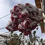 Casa Ines