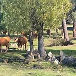 Casa Rural Aventura I