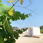 Aptos Rurales Can Pep De Sa Barda - Vinedos Y Tranquilidad