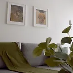 Natura Apartments