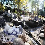 A Orillas Del Lago