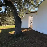 Finca La Vicaria Romero