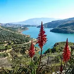 Azahar