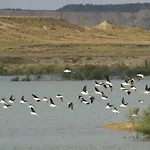 El Trujal de las Bardenas