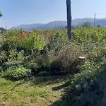Celler Colltor