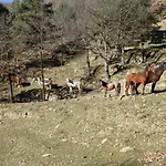 Turisme Rural Mas Isoles -Zonas No Compartidas- DTO MAS DE 1 NOCHE