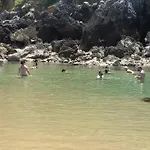 Playasonabia