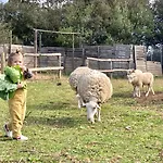 Mas La Ginesta - Ideal Per Families Amb Infants