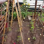 Jardines Del Acebron