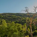 Casa-Huerto La Juana