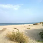 Apartamento En Urbanizacion Al-Andalus Cerca De La Playa De La Barrosa