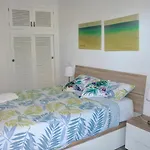 El Apartamento De Papá - Mil Palmeras