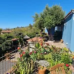 Casa Rosales With Pool & Wifi