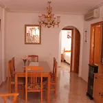 Best House Dalias