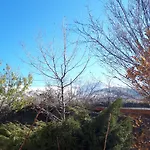 La Madriguera