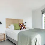 Central Apartment With A View