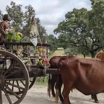 Comodo Piso En Cardena
