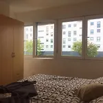 Piso Castineirinos