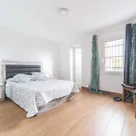 Newly Renovated Large Villa With Garden