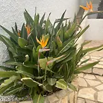 Casa Di Paddy