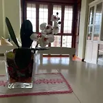 Bonito Apartamento Con Piscina