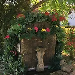 La Casa De Los Güelos