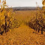 Casa De L\'Arbre