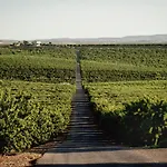 Casa De L\'Arbre