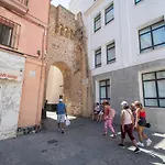 El Estudio De La Rosa