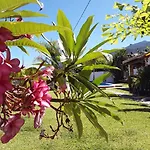 La Finca III