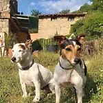 Mas Molladar