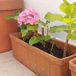 Moderno Apartamento Con Terraza Al Lado Paseo Maritimo De La Guardia.