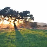 Finca El Vizconde Naturaleza Con Tus Hijos