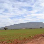 Finca El Vizconde Naturaleza Con Tus Hijos