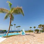 Perla Marina En Rocas Del Mar