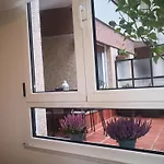 Casa Riera * En el centro de Oviedo, terraza, 2Hab