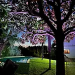 Chalet Paxarinas
