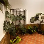Precioso Piso De 3 Dormitorios, Cocina Y 1 Bano