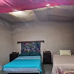 El Cau De Cal Viola