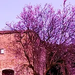 El Castell de Segueró