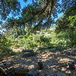 A Natural Retreat