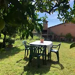 El huerto de Lino