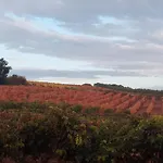 San Martín