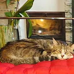 Villa A Porta Exclusividad En La Ribeira Sacra