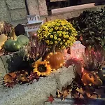 Posada Rural La Flor