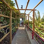 Estudio Lua